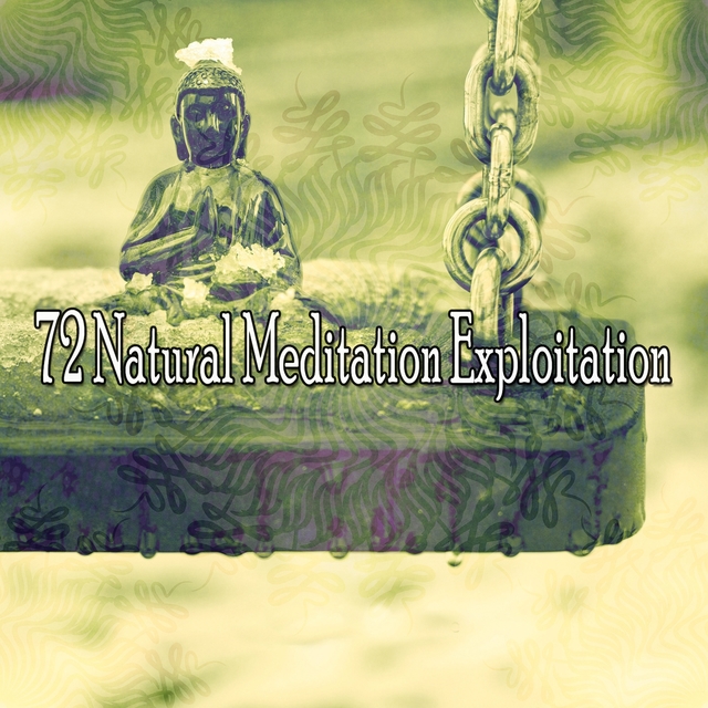 72 Natural Meditation Exploitation