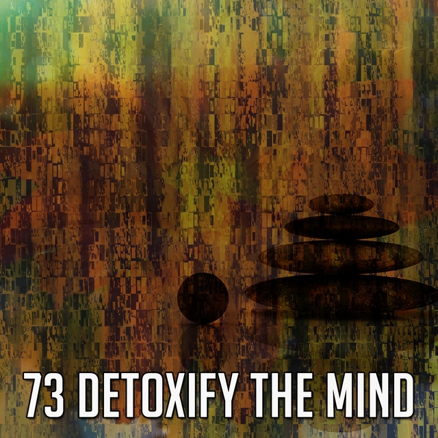 73 Detoxify the Mind