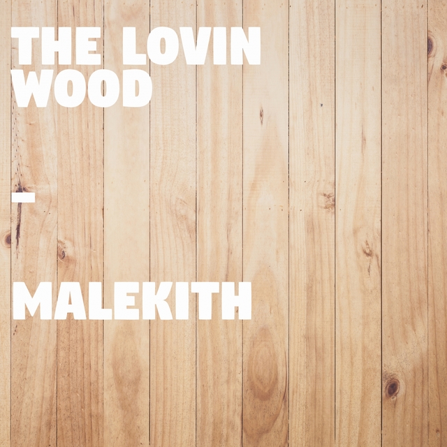 Couverture de The Lovin Wood