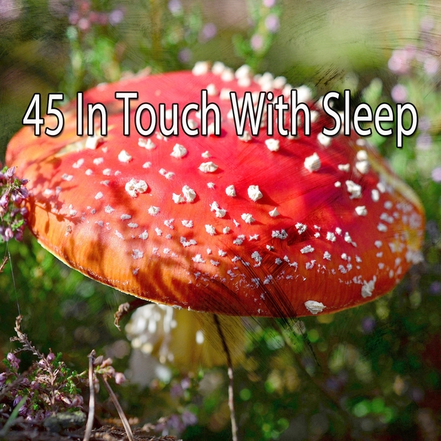 45 In Touch with Sleep