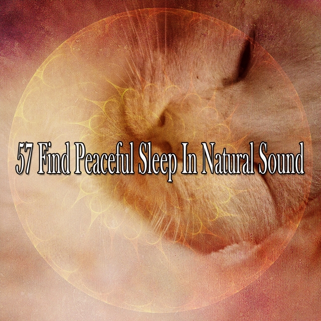 57 Find Peaceful Sleep in Natural Sound