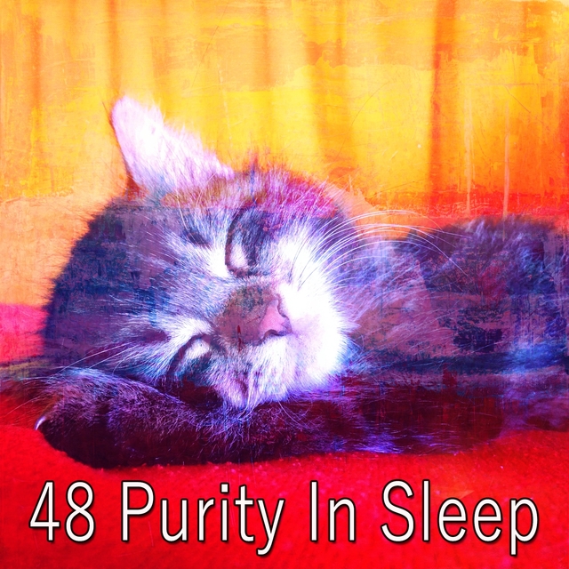 48 Purity in Sleep