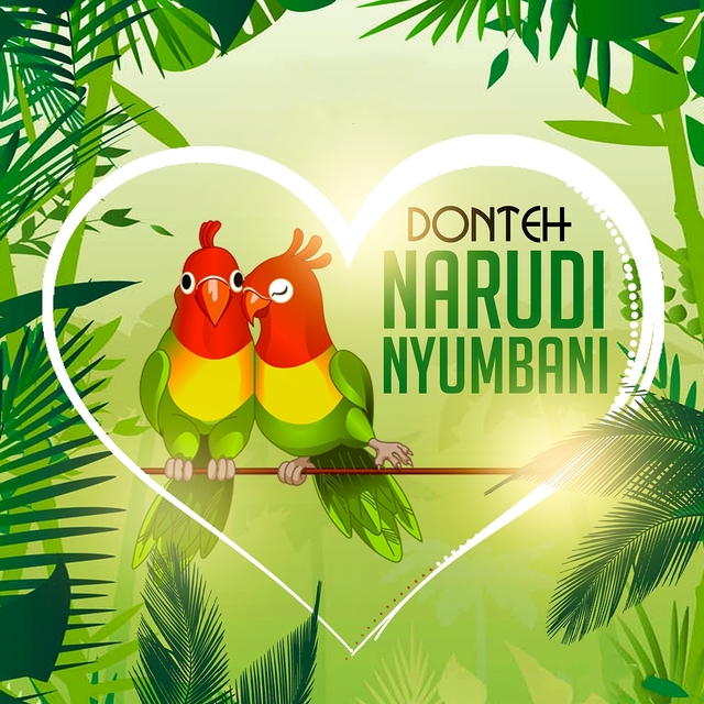 Couverture de Narudi Nyumbani