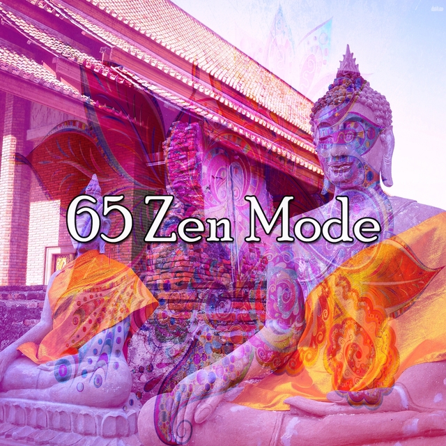 Couverture de 65 Zen Mode