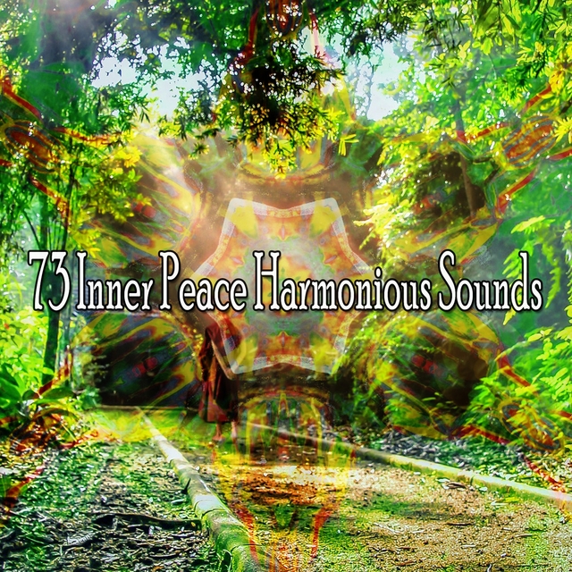 Couverture de 73 Inner Peace Harmonious Sounds