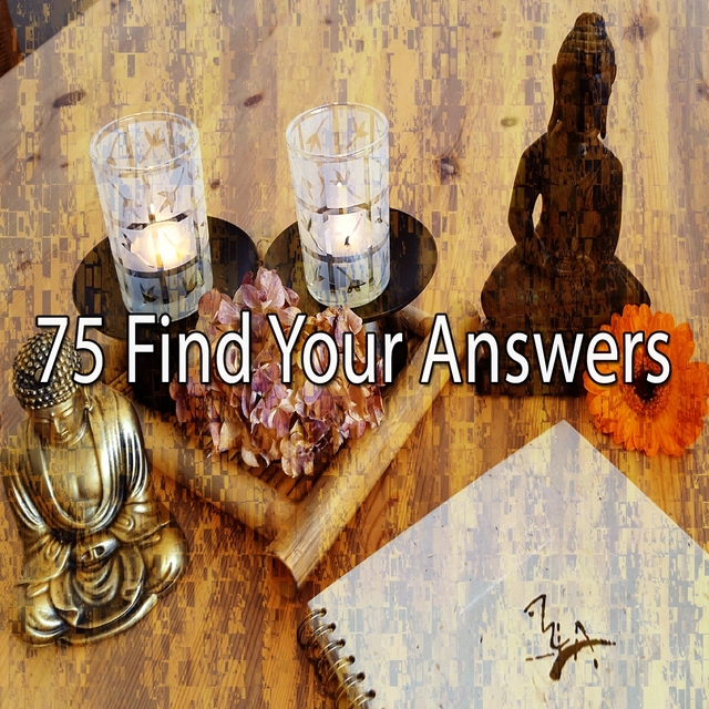 Couverture de 75 Find Your Answers