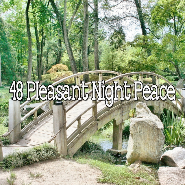 Couverture de 48 Pleasant Night Peace