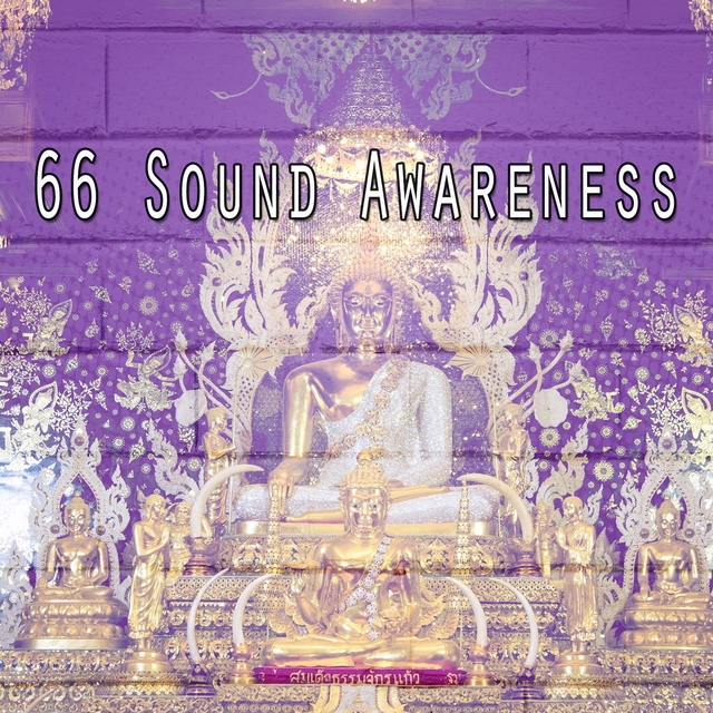 66 Sound Awareness