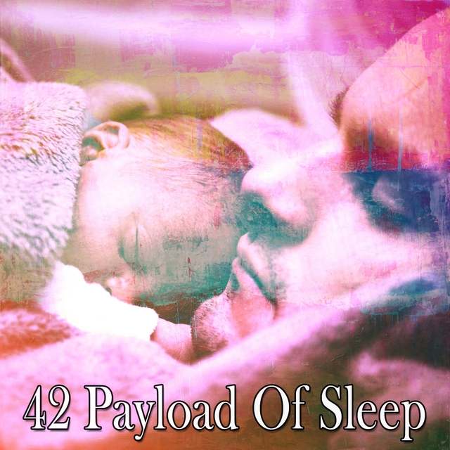 42 Payload of Sleep