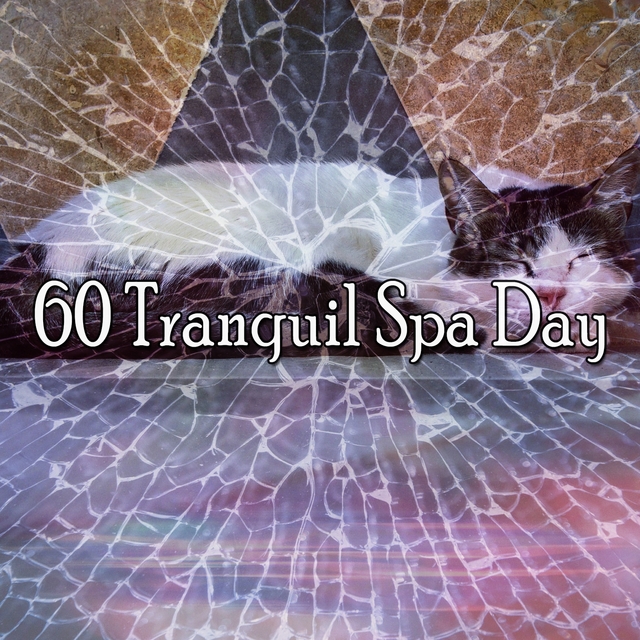 60 Tranquil Spa Day