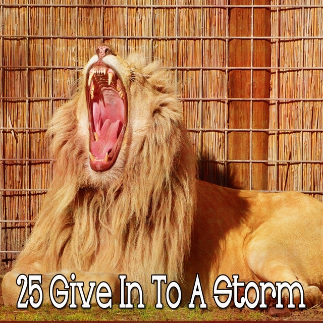 25 Give In to a Storm