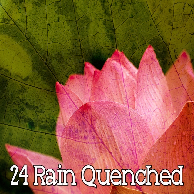 Couverture de 24 Rain Quenched