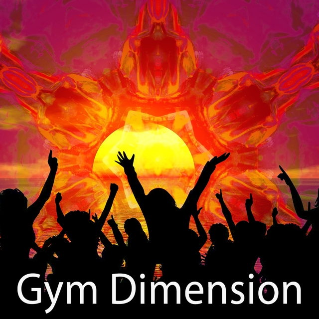 Couverture de Gym Dimension