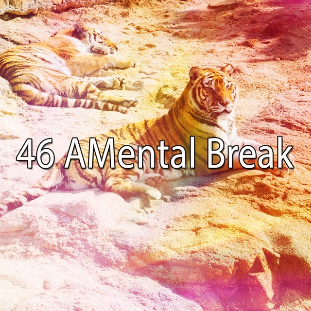 46 Amental Break