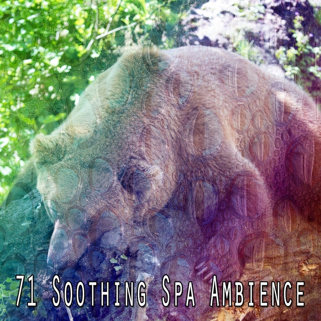 71 Soothing Spa Ambience