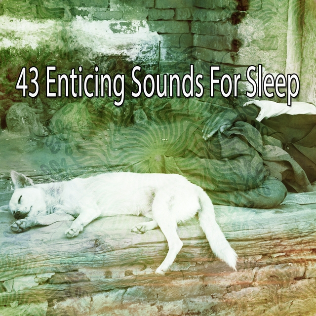 43 Enticing Sounds for Sleep