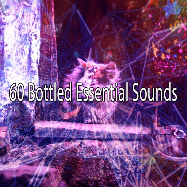 60 Bottled Essential Sounds