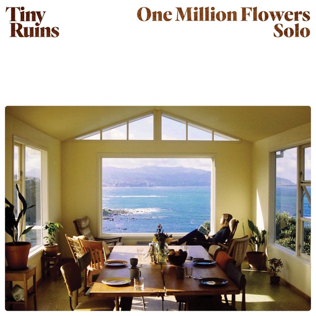 Couverture de One Million Flowers