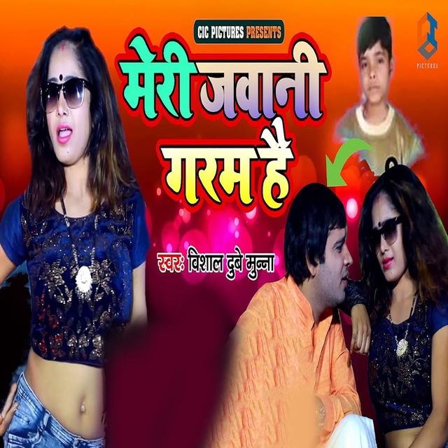 Couverture de Meri Jawani Garam Hai