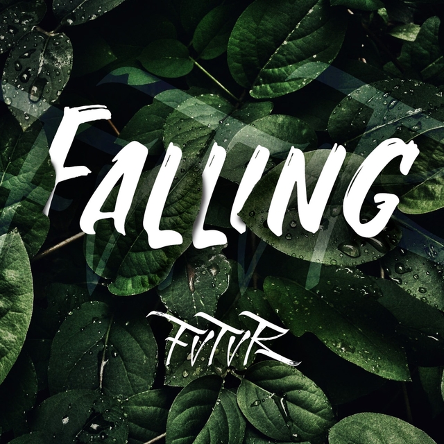 Couverture de Falling