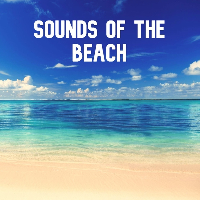 Sounds of the Beach