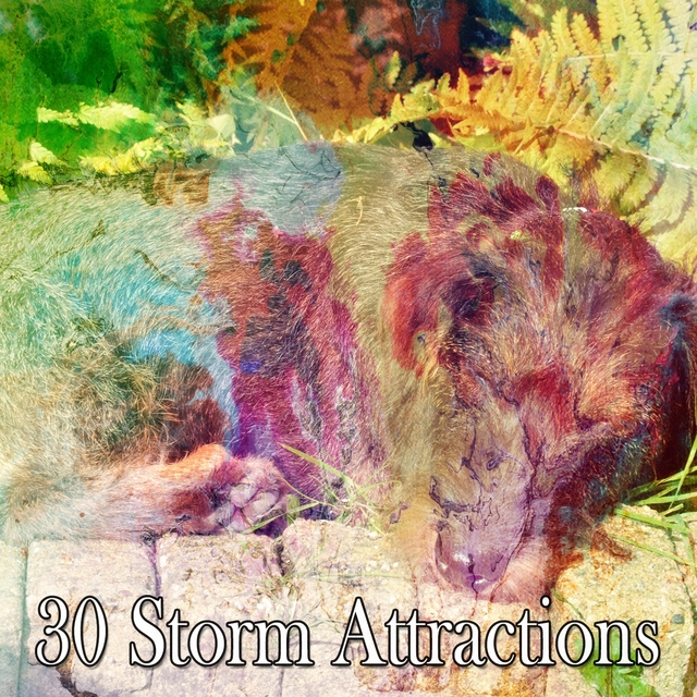 Couverture de 30 Storm Attractions