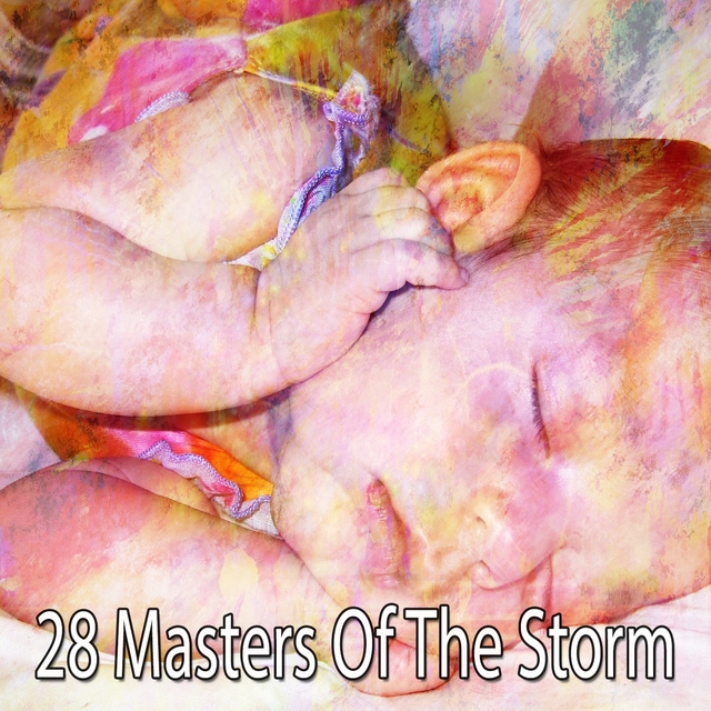 Couverture de 28 Masters of the Storm