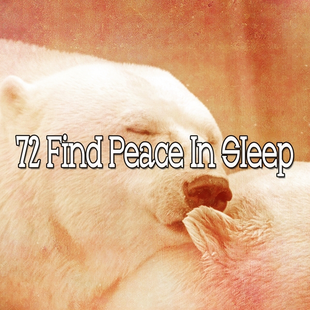 72 Find Peace in Sleep