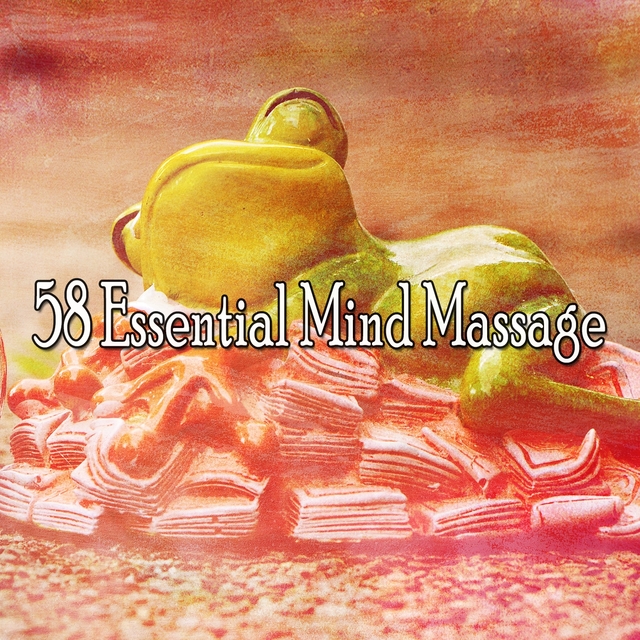 Couverture de 58 Essential Mind Massage