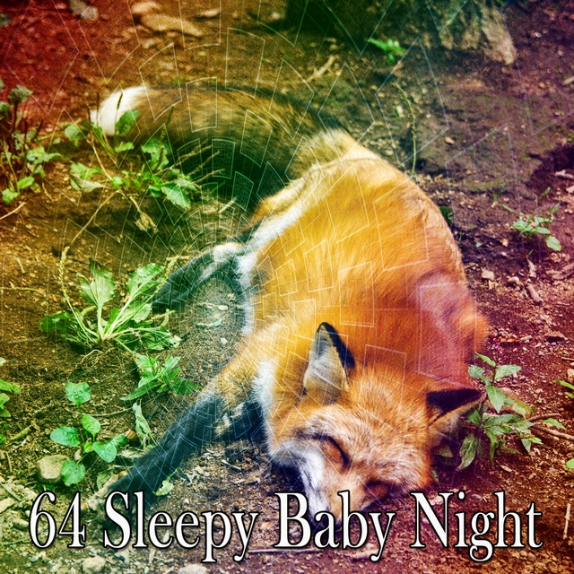 Couverture de 64 Sleepy Baby Night