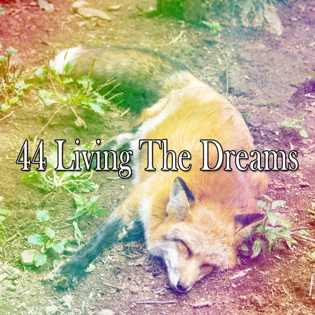 Couverture de 44 Living the Dreams