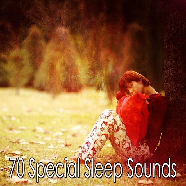 Couverture de 70 Special Sleep Sounds