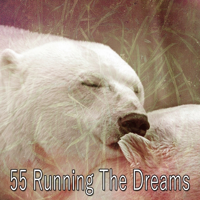 Couverture de 55 Running the Dreams