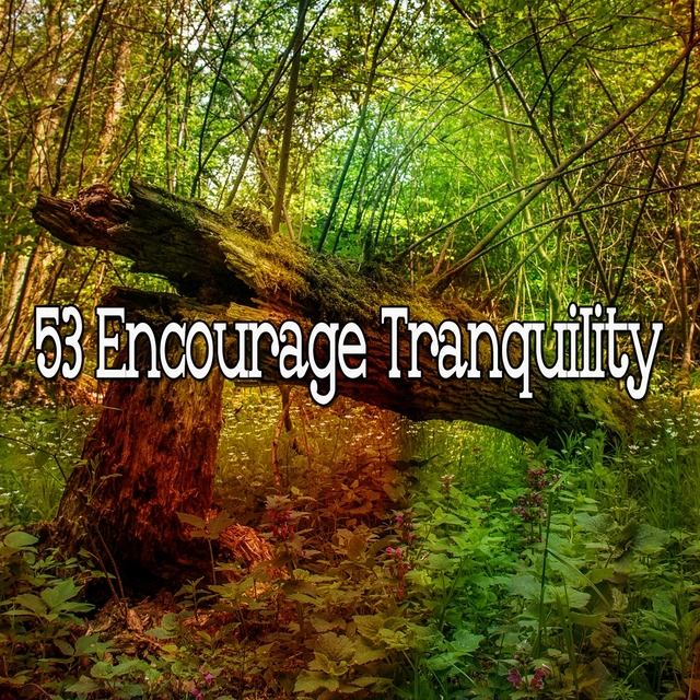 Couverture de 53 Encourage Tranquility