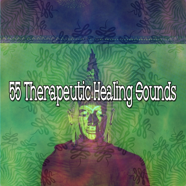 Couverture de 55 Therapeutic Healing Sounds