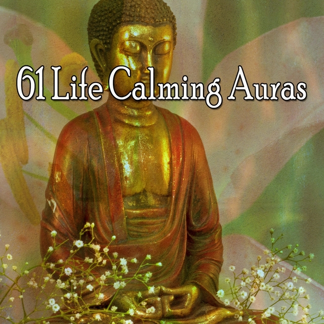 Couverture de 61 Life Calming Auras