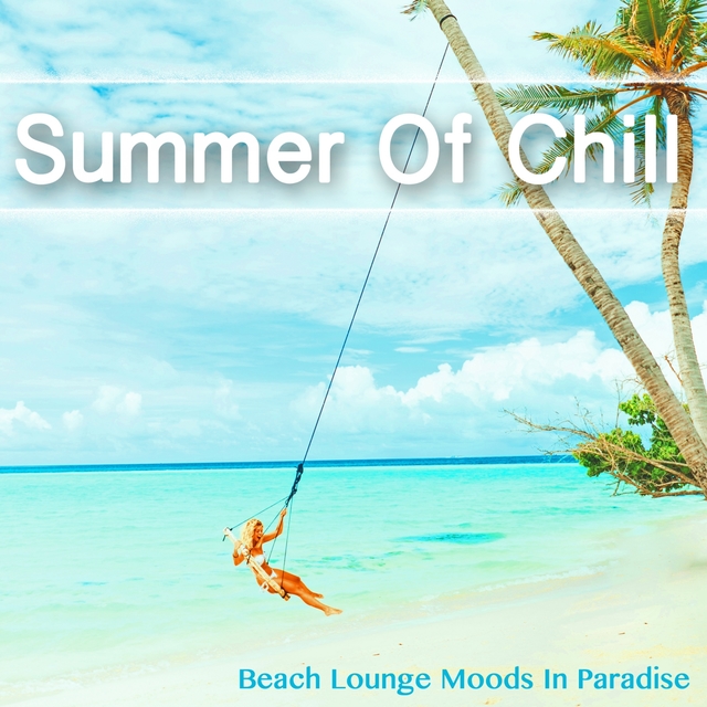 Couverture de Summer of Chill