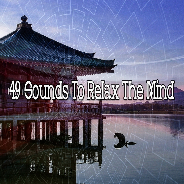 Couverture de 49 Sounds to Relax the Mind