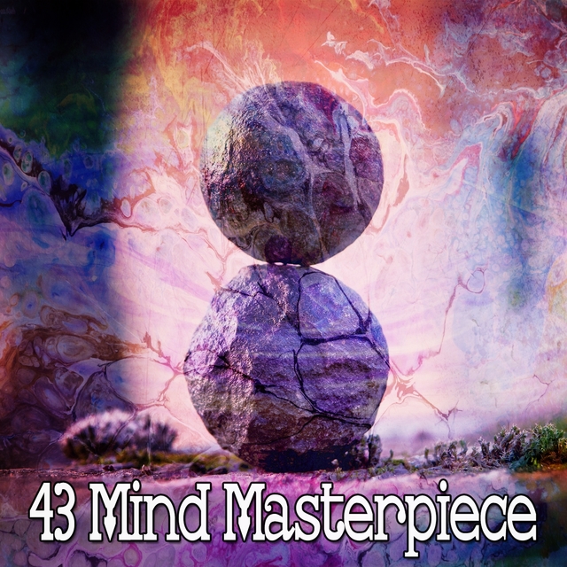 Couverture de 43 Mind Masterpiece