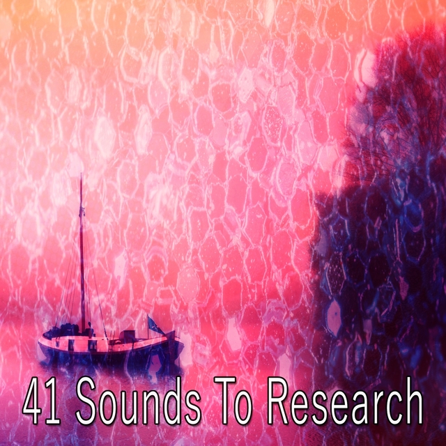 Couverture de 41 Sounds to Research