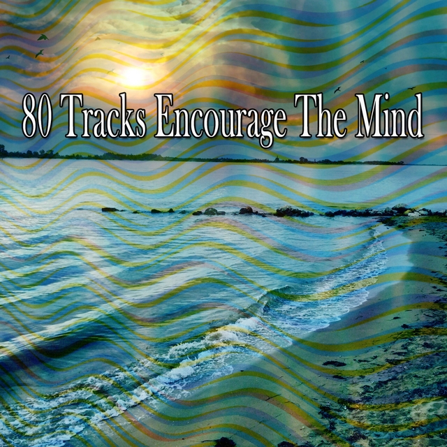80 Tracks Encourage the Mind