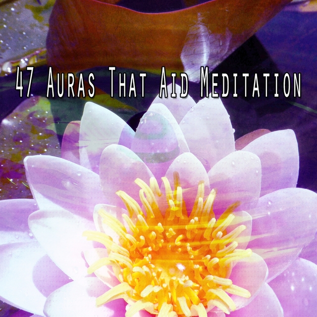 Couverture de 47 Auras That Aid Meditation