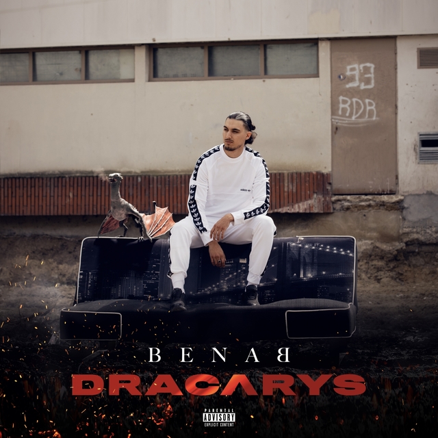 Couverture de Dracarys