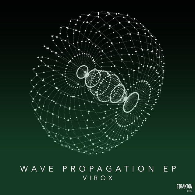 Couverture de Wave Propagation