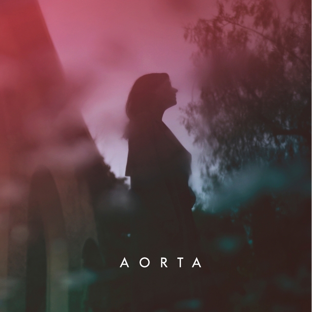 Aorta