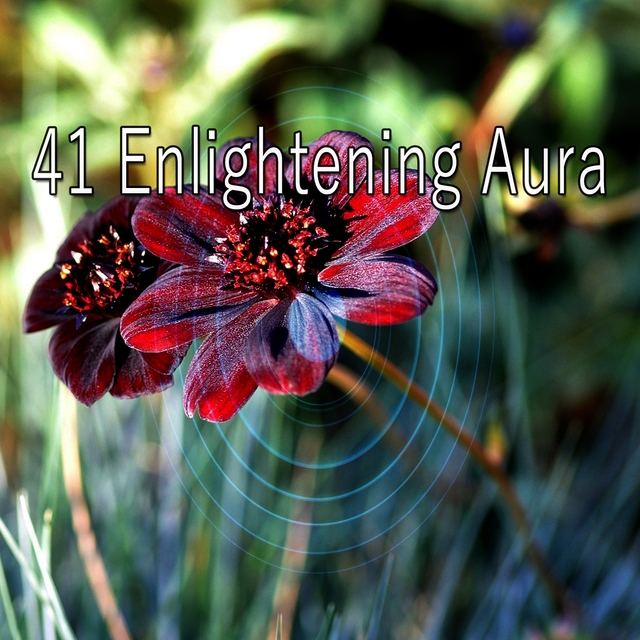 Couverture de 41 Enlightening Aura