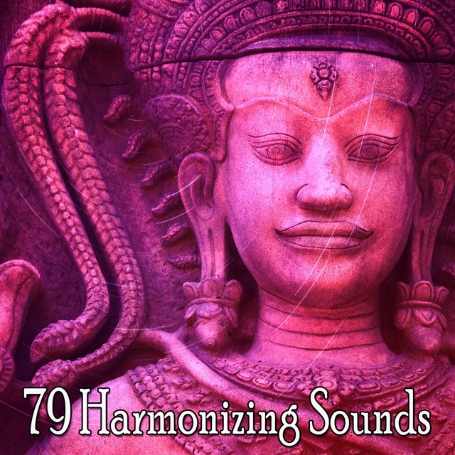 79 Harmonizing Sounds