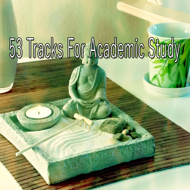 53 Tracks for Academic Study