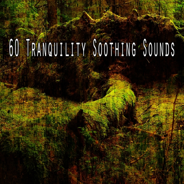 Couverture de 60 Tranquility Soothing Sounds