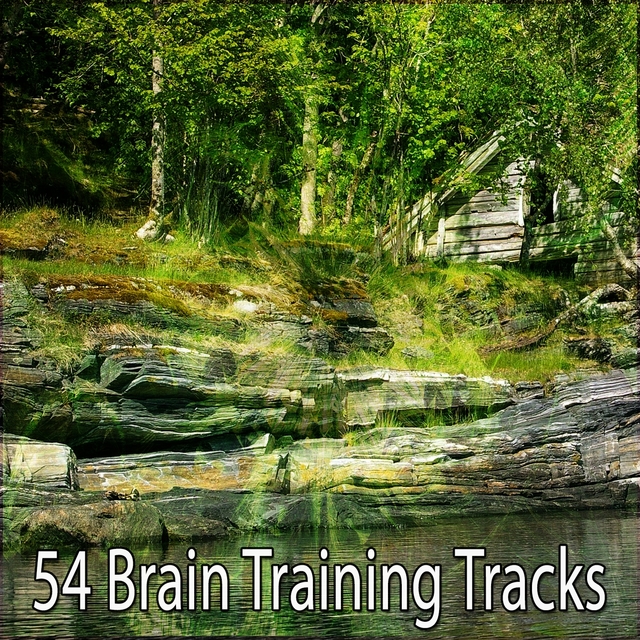 Couverture de 54 Brain Training Tracks